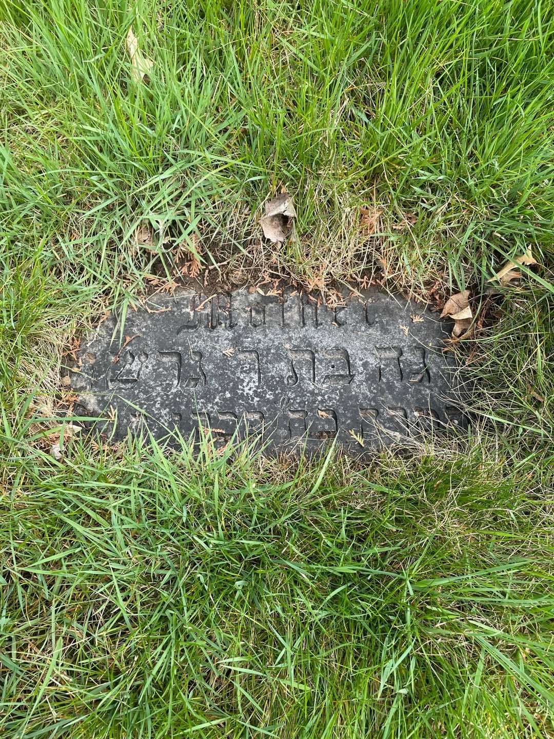 Isadore Fabian's grave. Photo 3