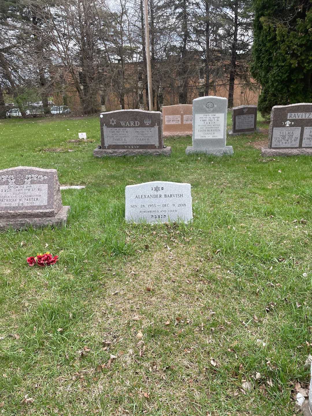 Alexander Barvish's grave. Photo 2