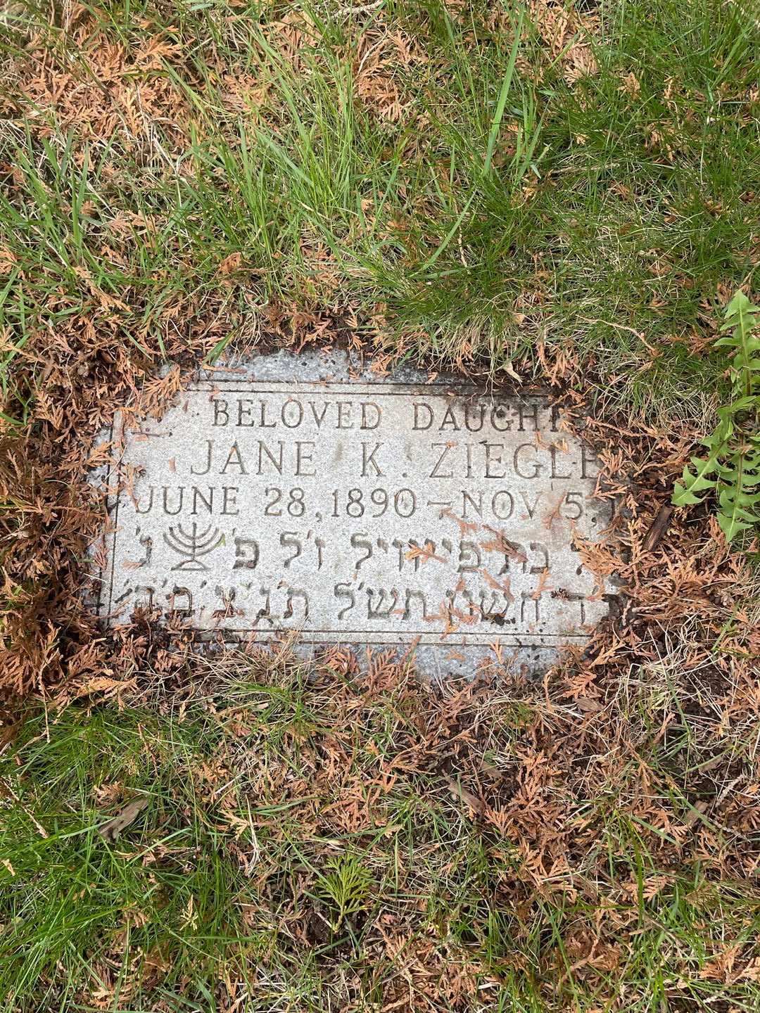 Jane K. Ziegler's grave. Photo 3