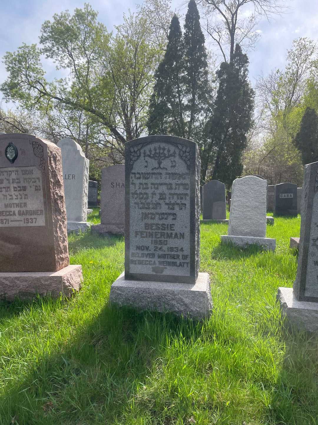Bessie Feinerman's grave. Photo 2