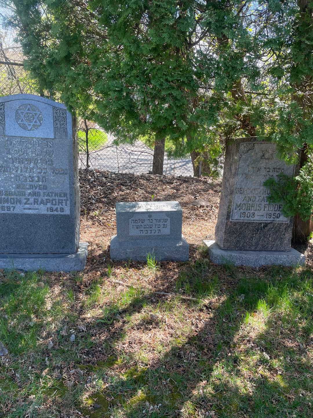 Samuel Raport's grave. Photo 2