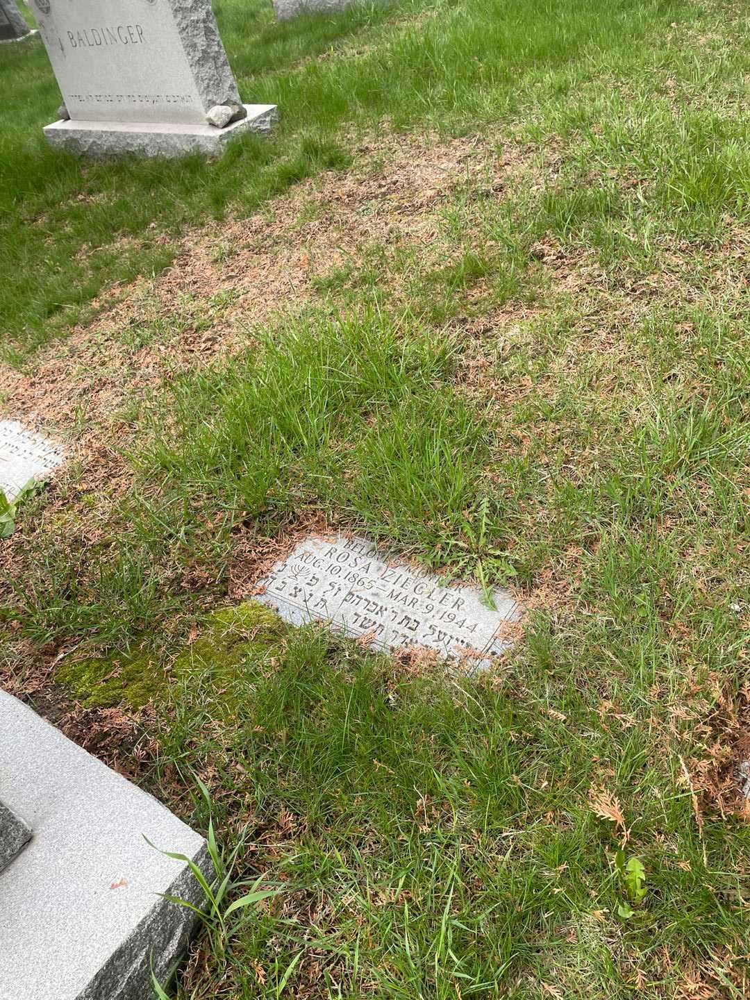 Rosa Ziegler's grave. Photo 2
