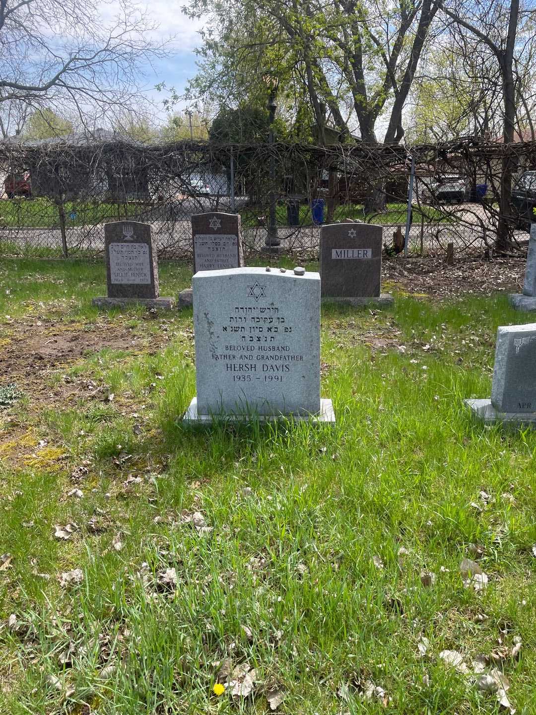 Hersh Davis's grave. Photo 2