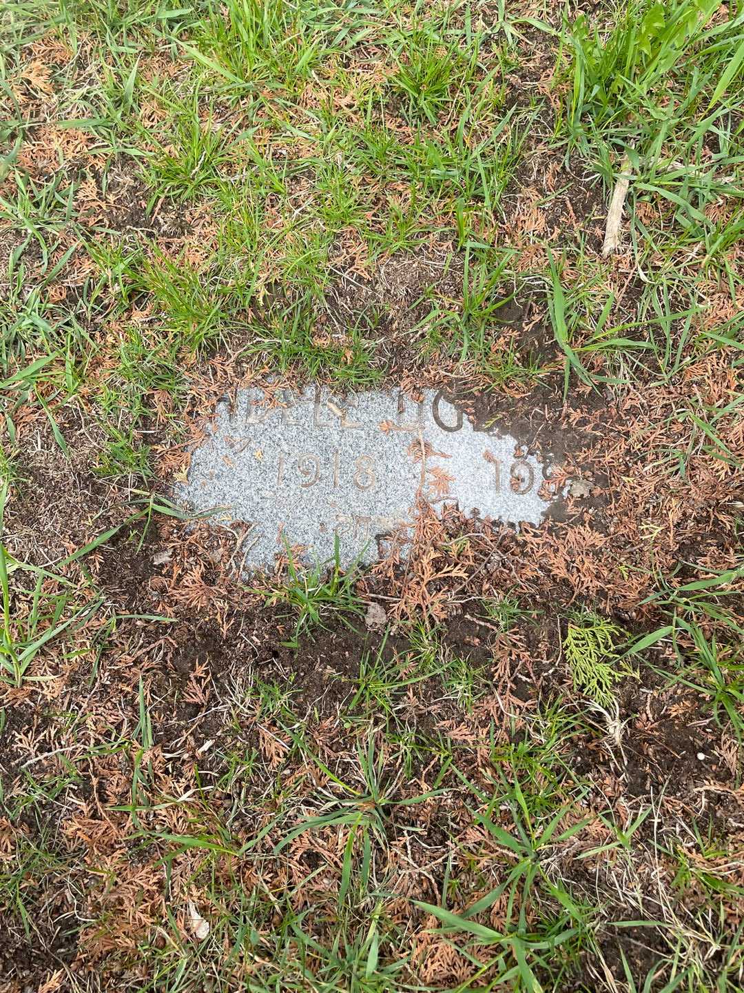 Adele Oglansky's grave. Photo 3