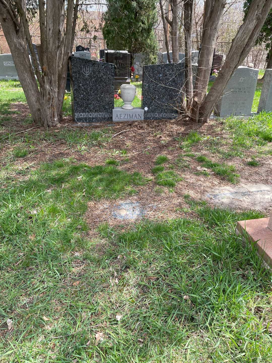 Sarah Aeziman's grave. Photo 2