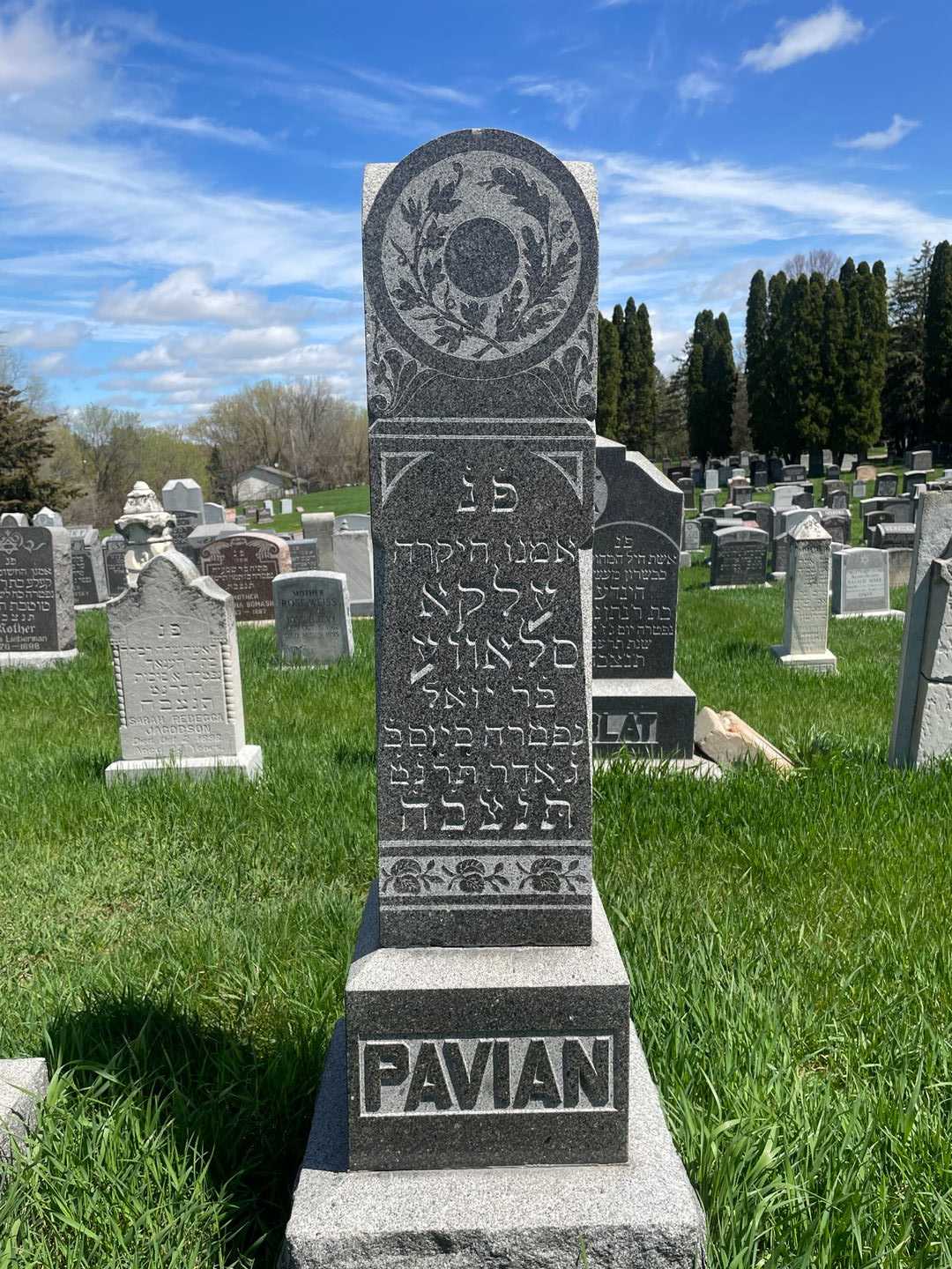 Ellen Pavian's grave. Photo 1