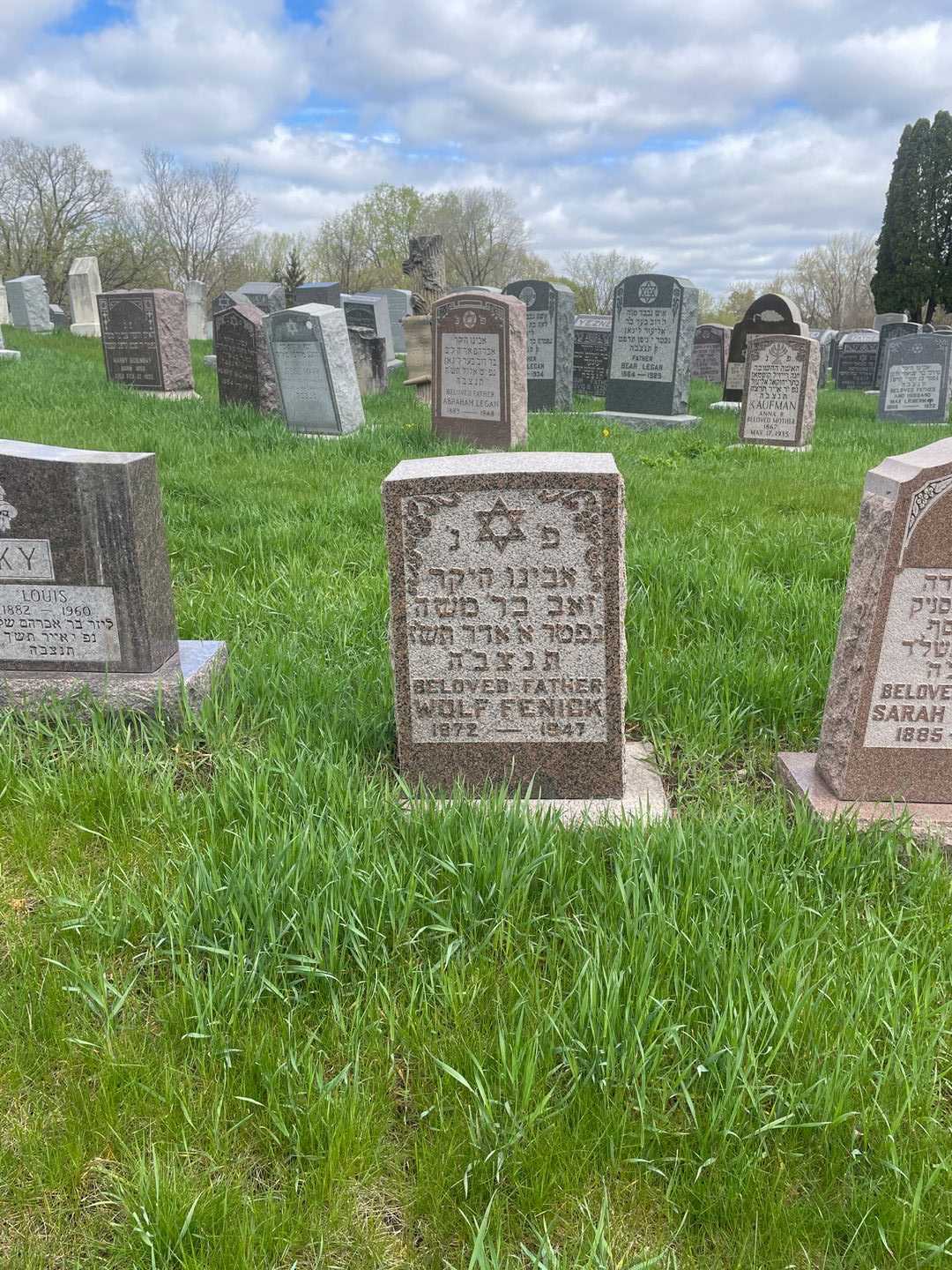 Wolf Fenick's grave. Photo 2