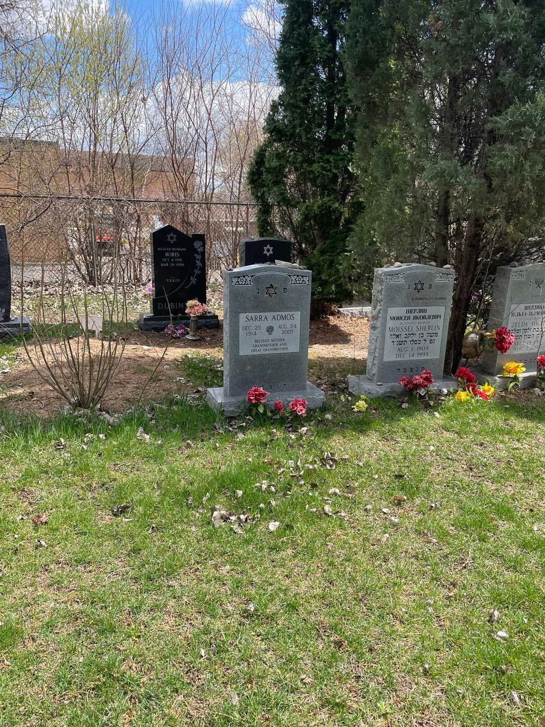 Sarra Admos's grave. Photo 2
