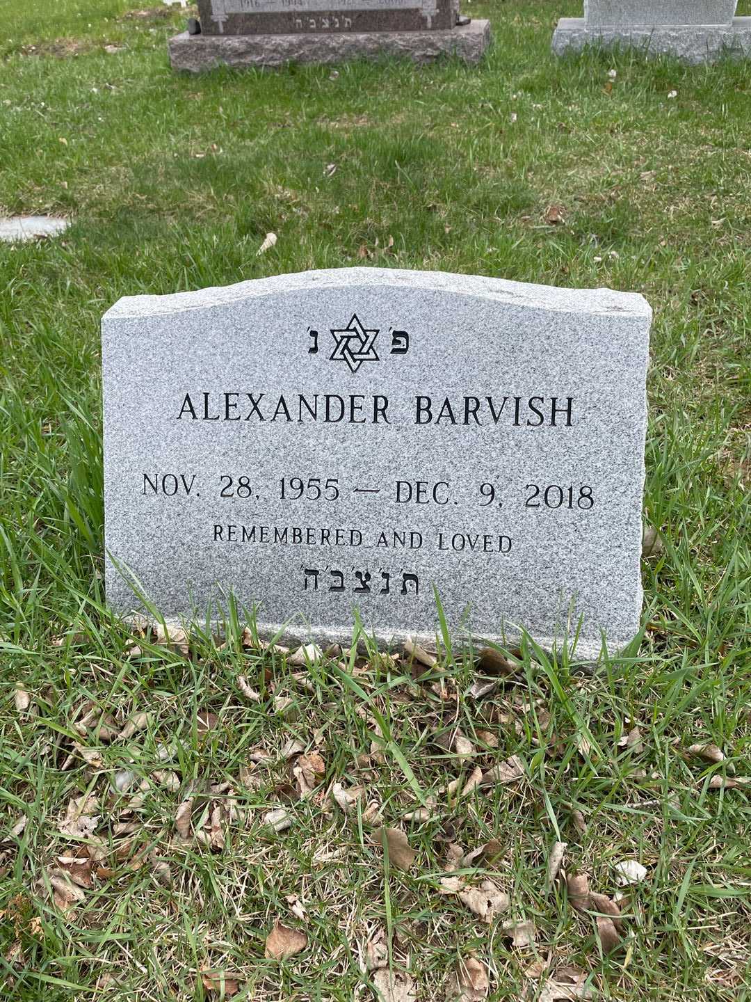 Alexander Barvish's grave. Photo 1