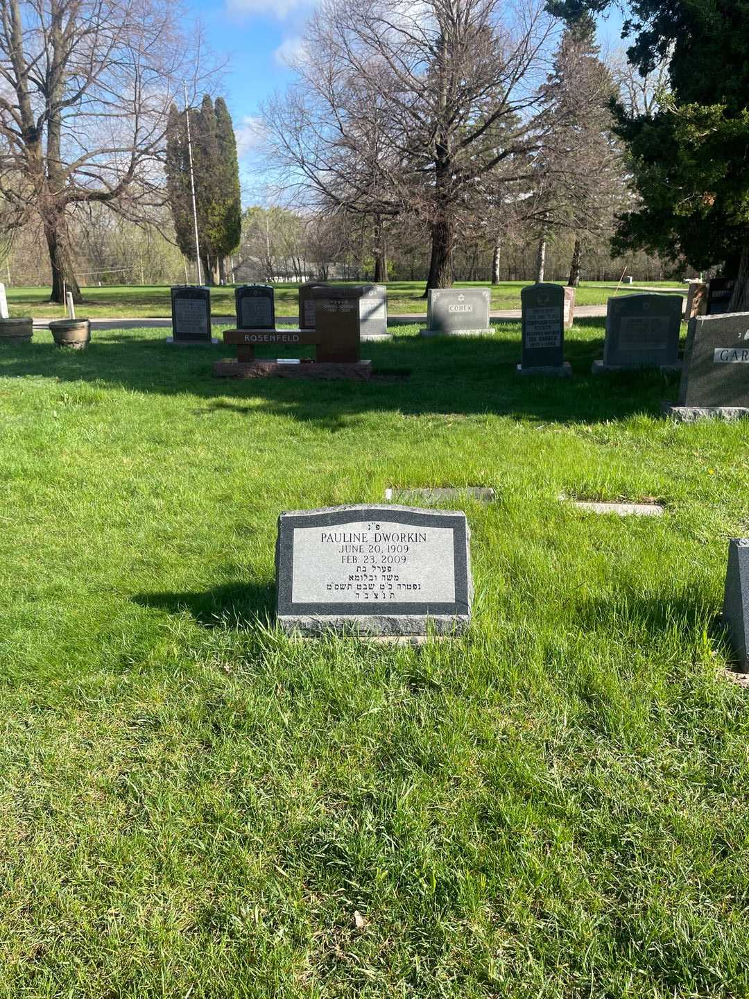 Pauline Barsky Dworkin's grave. Photo 2