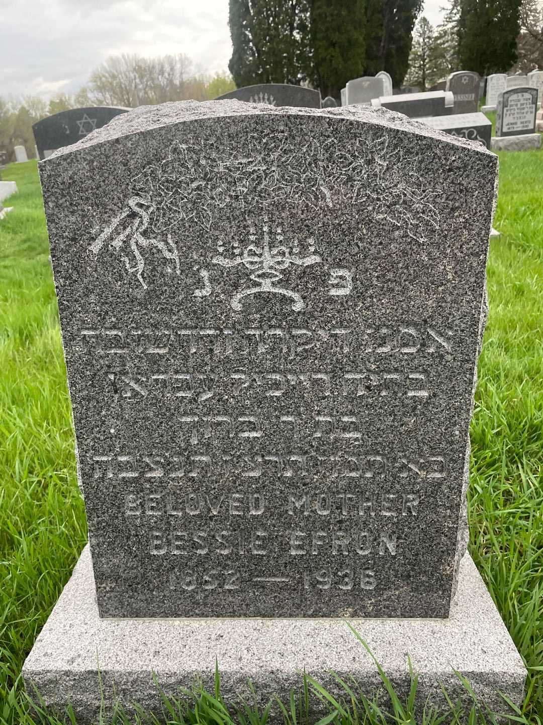Bessie Efron's grave. Photo 1