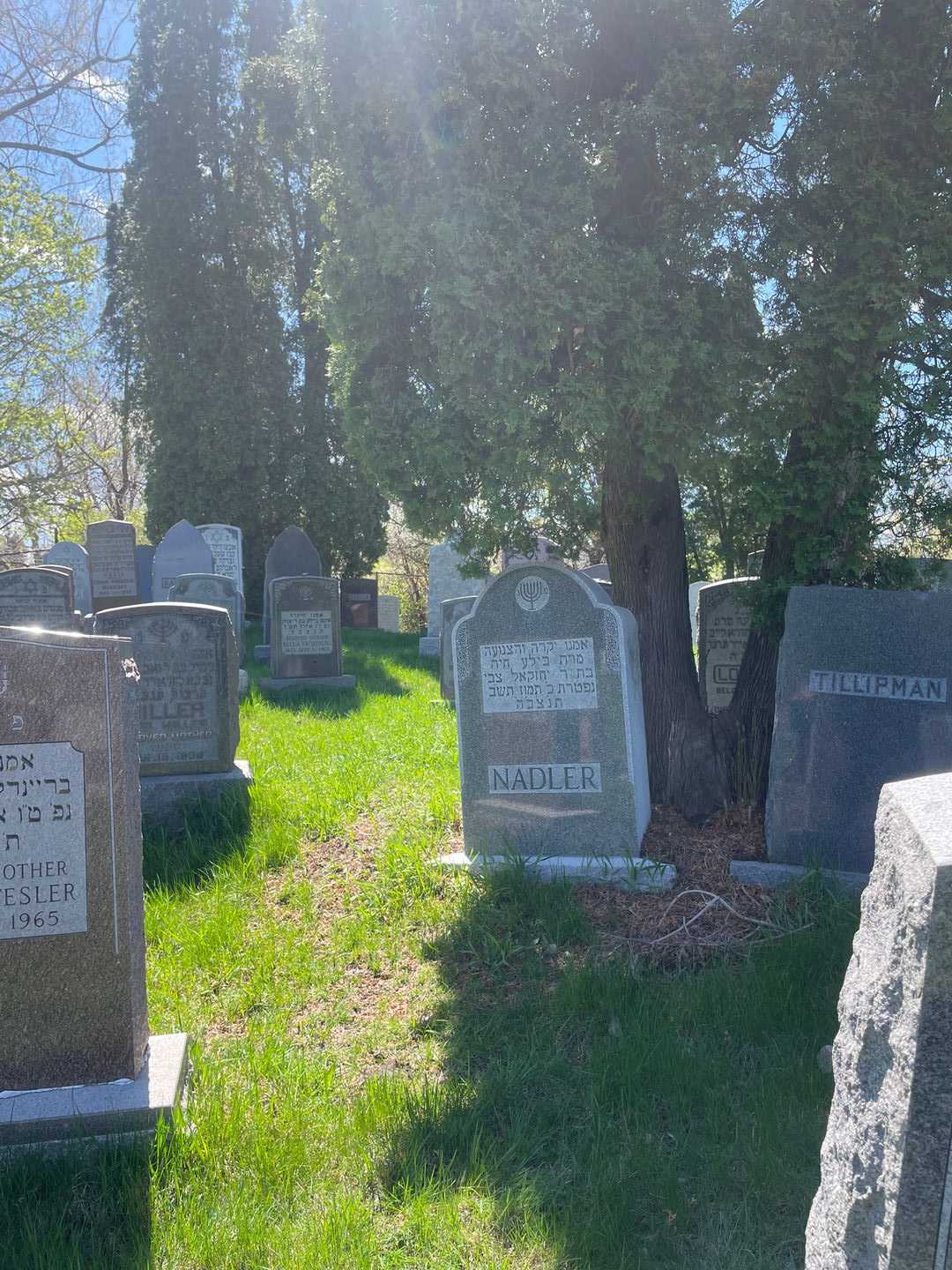 Bertha Nadler's grave. Photo 2