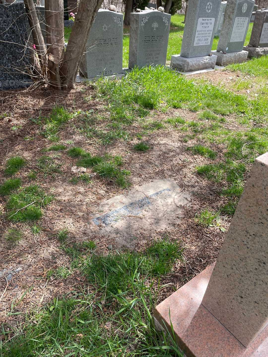 Albert Aeziman's grave. Photo 2