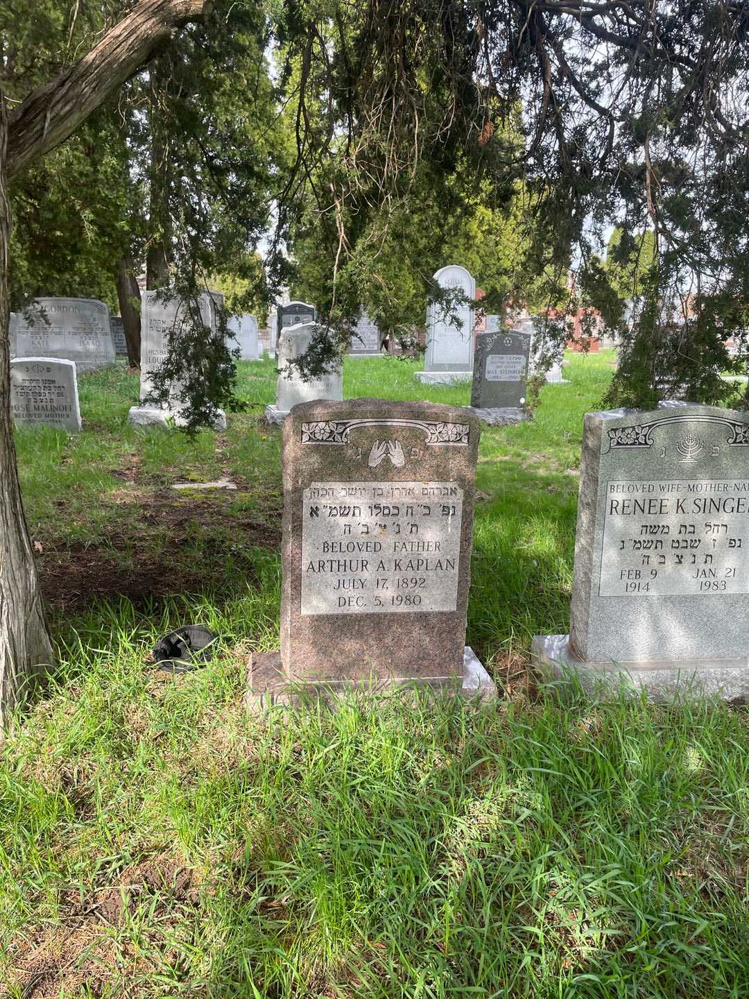 Arthur A. Kaplan's grave. Photo 2