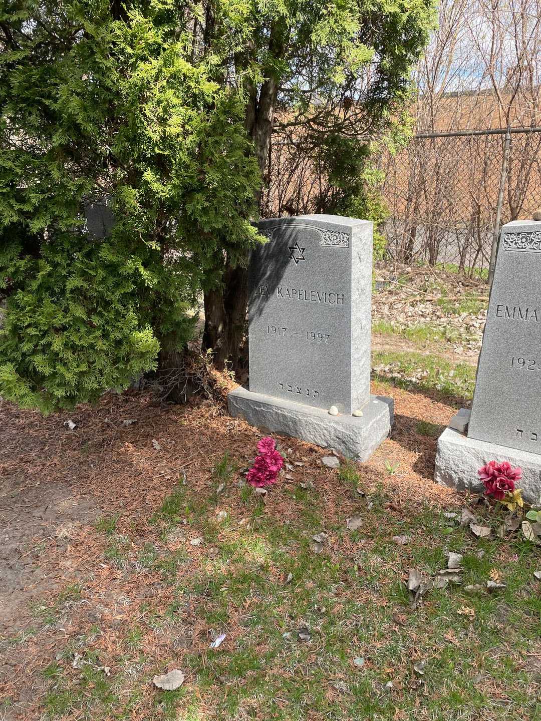 Lev Kapelevich's grave. Photo 2