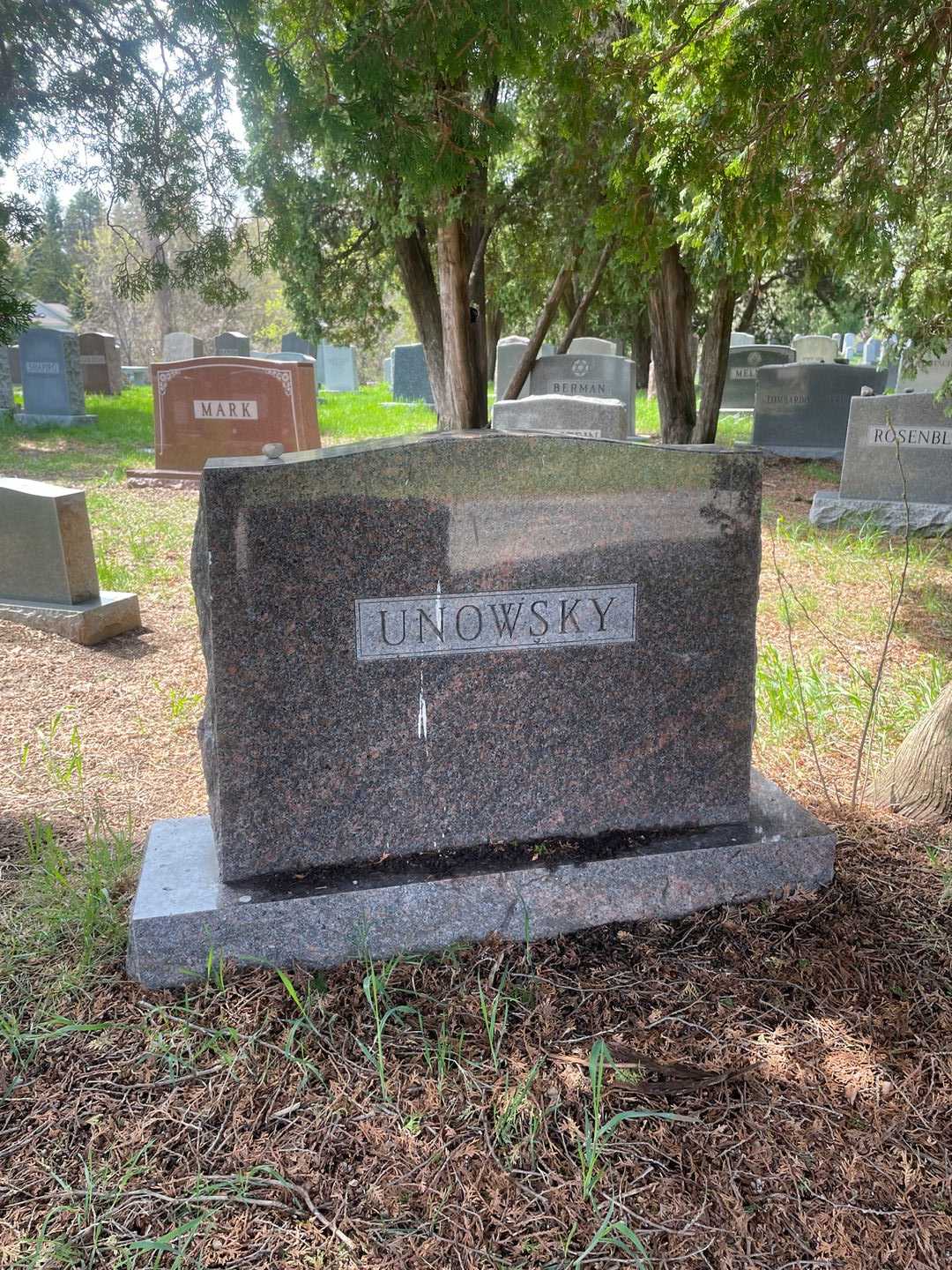 Clara Unowsky's grave. Photo 3