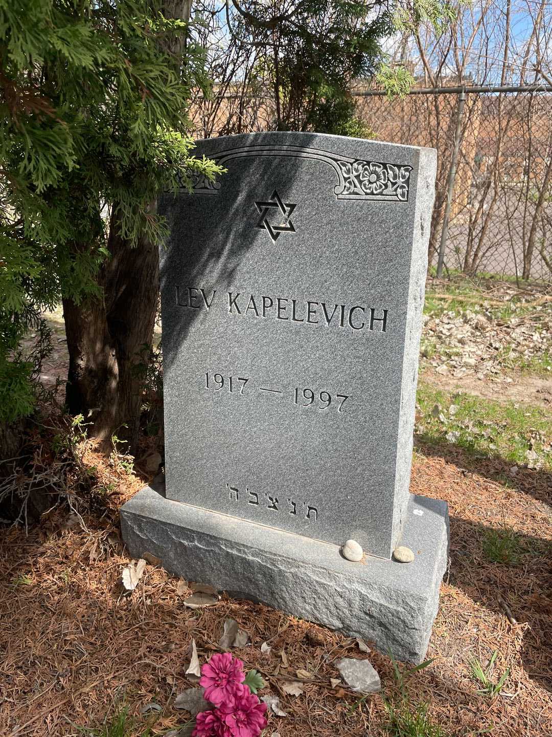 Lev Kapelevich's grave. Photo 1