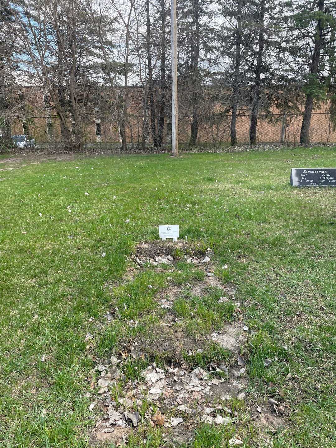 Shoshana Englard-Falconer's grave. Photo 2