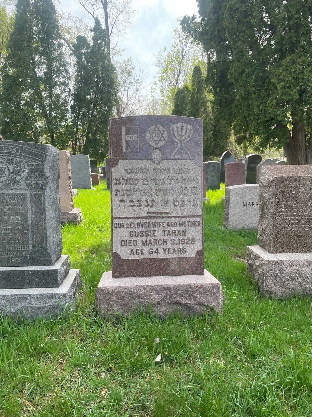 Gussie Taran's grave. Photo 2