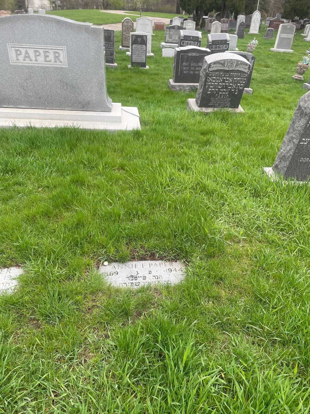 Annie F. Paper's grave. Photo 2