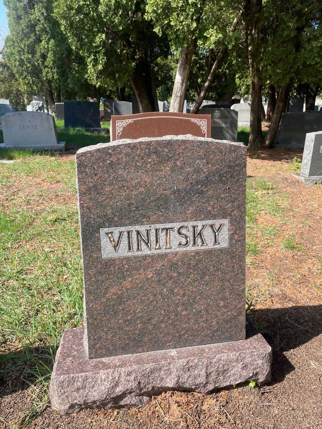 Charles Vinitsky's grave. Photo 1