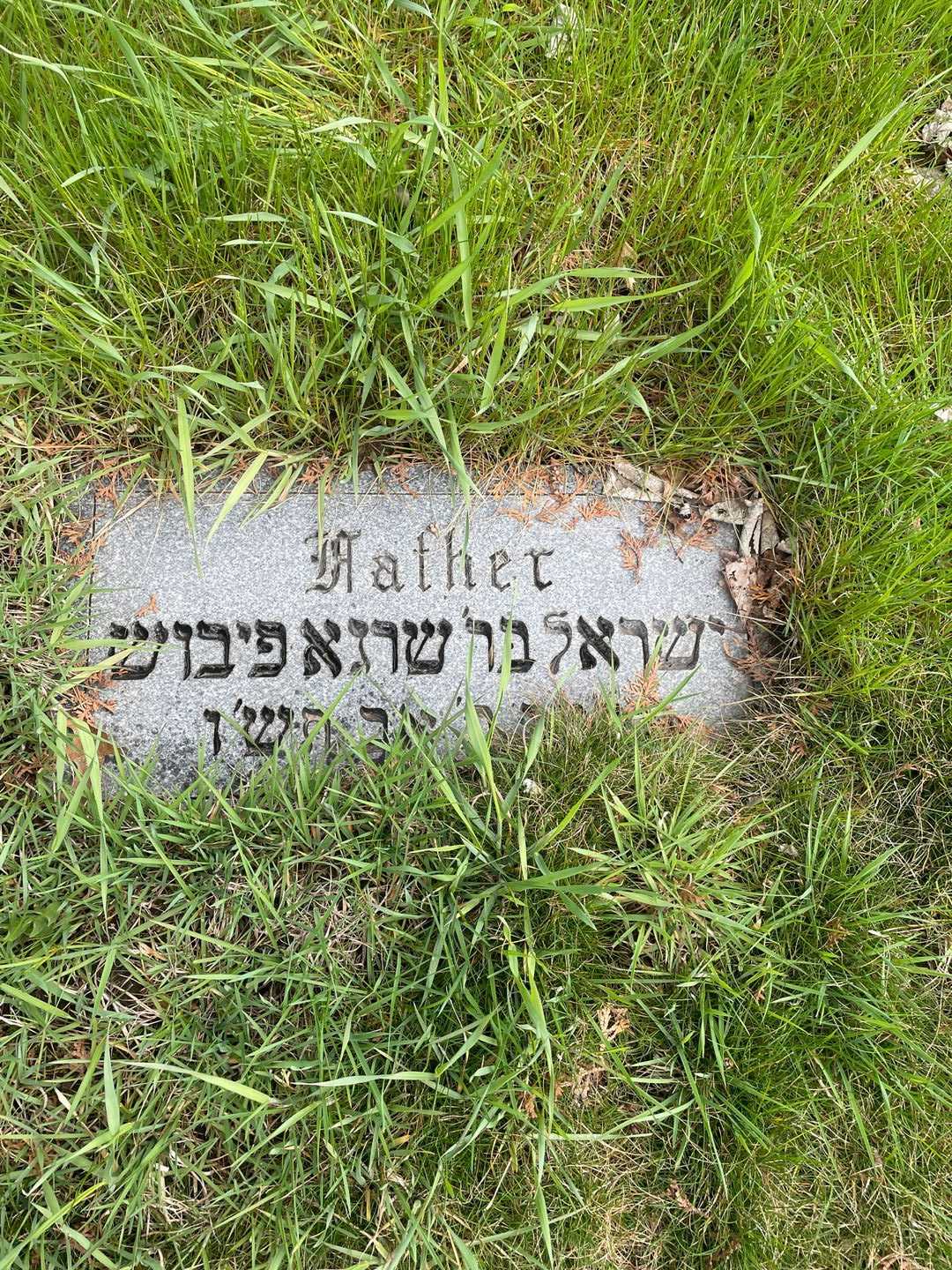 Isadore Fabian's grave. Photo 4